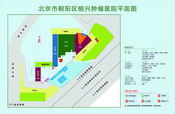 操逼顶级黄片北京市朝阳区桓兴肿瘤医院平面图